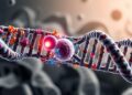 epigenetics